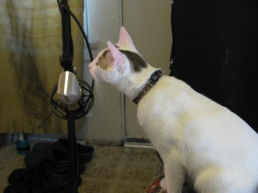 Pink checking the mic while setting up for a trial recording session a year or so earlier when he was healthy